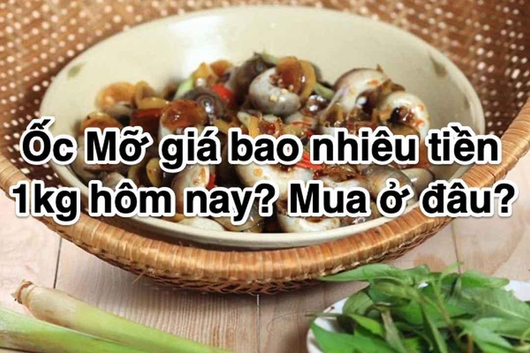 Ốc mỡ giá bao nhiêu tiền 1kg hôm nay?