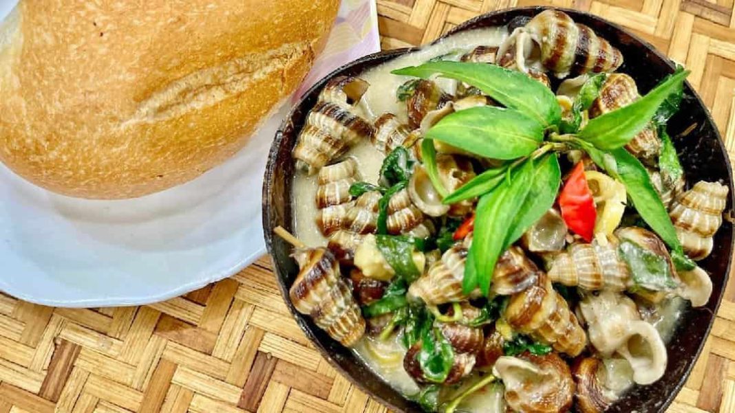 Hướng dẫn cách chế biến ốc len để tạo ra những món ăn ngon và hấp dẫn